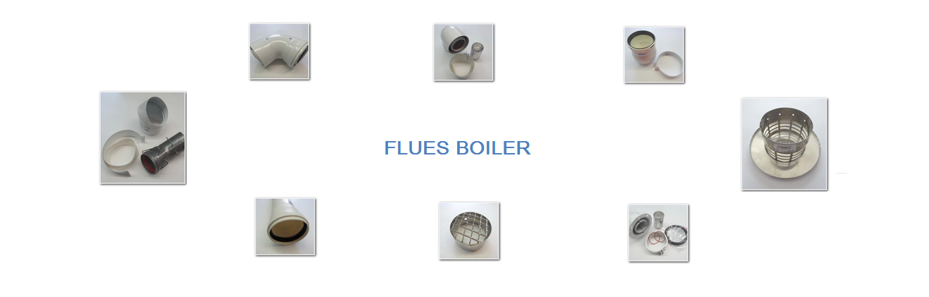 Flues boiler